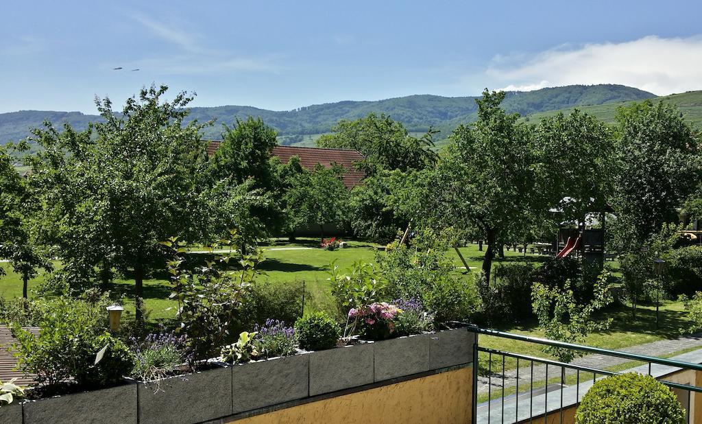 Donauwirt - Hotel Garni Weissenkirchen in der Wachau Exterior photo